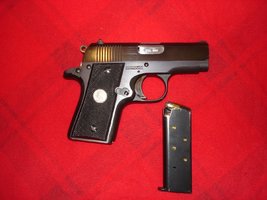 Gun Collection 013.jpg