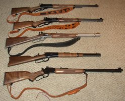 Leveraction-1.JPG