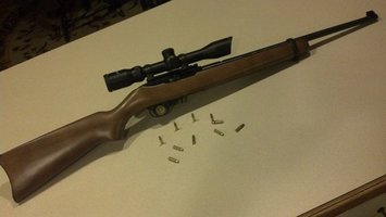 ruger_1022_lowres.jpg