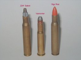 .30 Cal choices.jpg