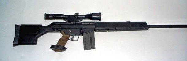 Hk PSG1.jpg