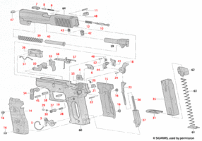 sigP226.gif