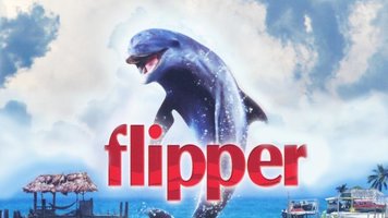 flipper.jpeg