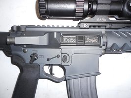 SG AR15-2.jpg