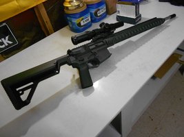 SG AR15-5.jpg