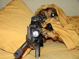 guarddog2.jpg