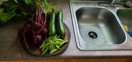 Garden Harvest 7-3.jpg