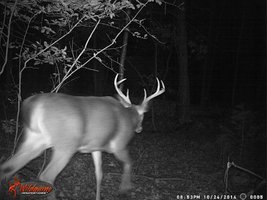 2014 10 24 buck1.jpg