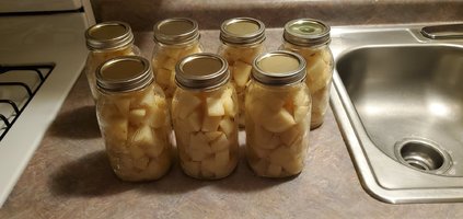 Dry Canned Potatoes.jpg