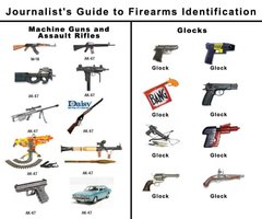 Journalist gun chart.jpg