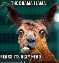 drama llama.jpg