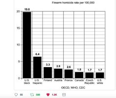 homicide by firearm.jpg