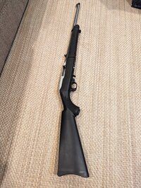 Ruger 1022 1.jpg