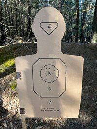 CSAT pistol standards 03.03.2024.jpg