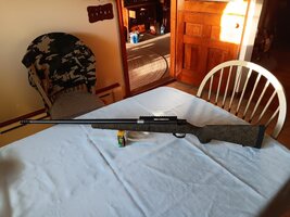 1 howa 308.jpg