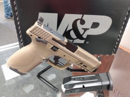 Smith & Wesson FDE 2 (3).jpg