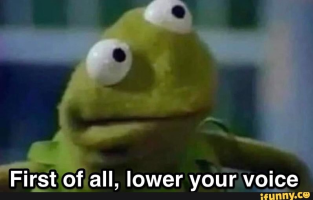 kermit-lower-your-voice.png