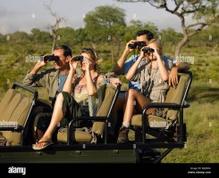 group-of-tourists-on-safari-sitting-in-jeep-looking-through-binoculars-B0JB5M.jpg