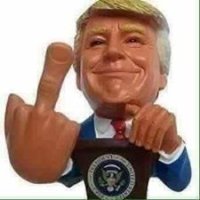 Trumpfinger.jpg