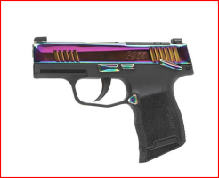 Sig Sauer Rainbow 1.png