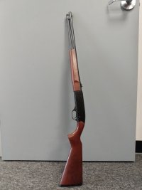 Winchester 190 (1).jpg