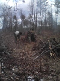 debris hut.jpg