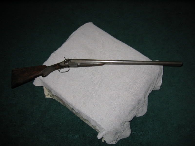 AMArms12ga001.jpg