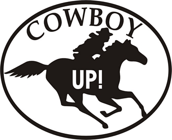 2_horse-cowboy-up-sticker.jpg