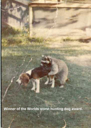 worsthuntingdog1.jpg