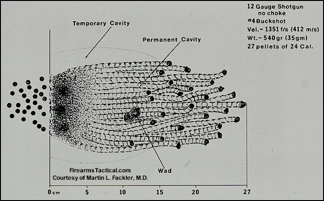 12-gauge-no-4-buckshot.jpg