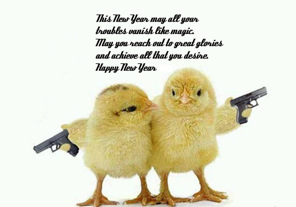 2016-new-year-funny-wish.jpg