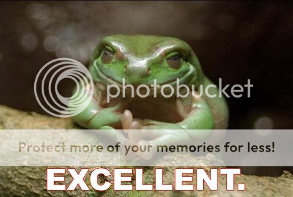 excellent-frog.jpg