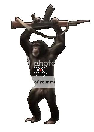 monkey.jpg