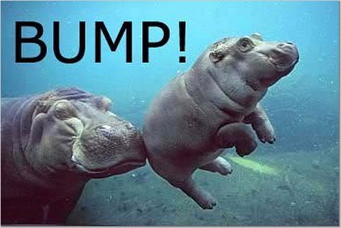 bump-hippo.jpg