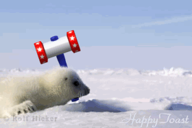 Animated-seal-hunt.gif